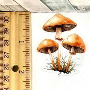 🌀10/$10🌀 Mushroom Translucent Reusable Waterproof Sticker Decal